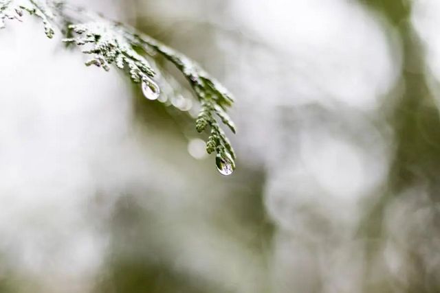 空氣濕度大帶來的危害有哪些，你知道嗎？