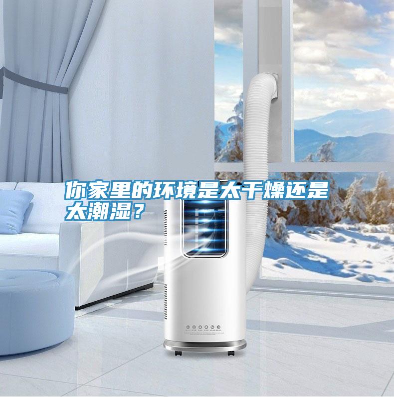 你家里的環境是太干燥還是太潮濕？