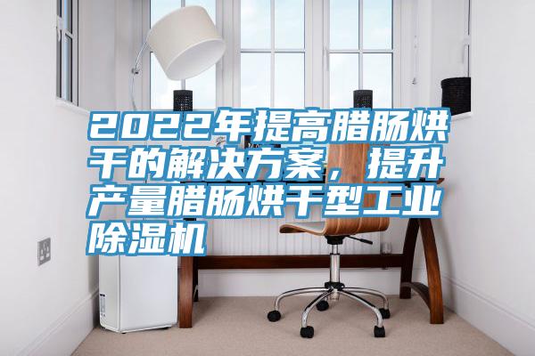 2022年提高臘腸烘干的解決方案，提升產(chǎn)量臘腸烘干型工業(yè)除濕機(jī)