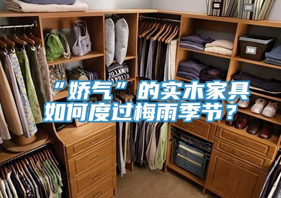 “嬌氣”的實木家具如何度過梅雨季節？