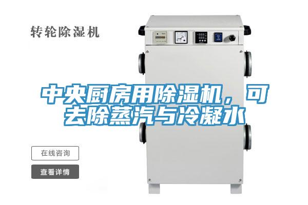 中央廚房用除濕機,可去除蒸汽與冷凝水