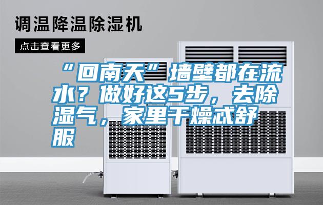 “回南天”墻壁都在流水?做好這5步,去除濕氣,家里干燥忒舒服