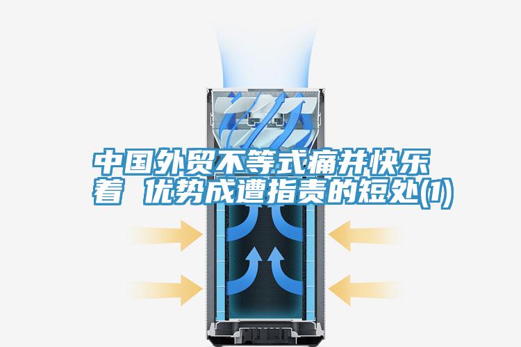 中國(guó)外貿(mào)不等式痛并快樂著 優(yōu)勢(shì)成遭指責(zé)的短處(1)