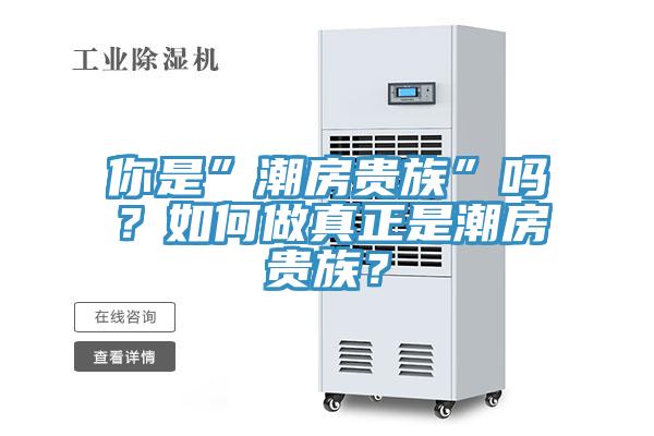 你是”潮房貴族”嗎？如何做真正是潮房貴族？