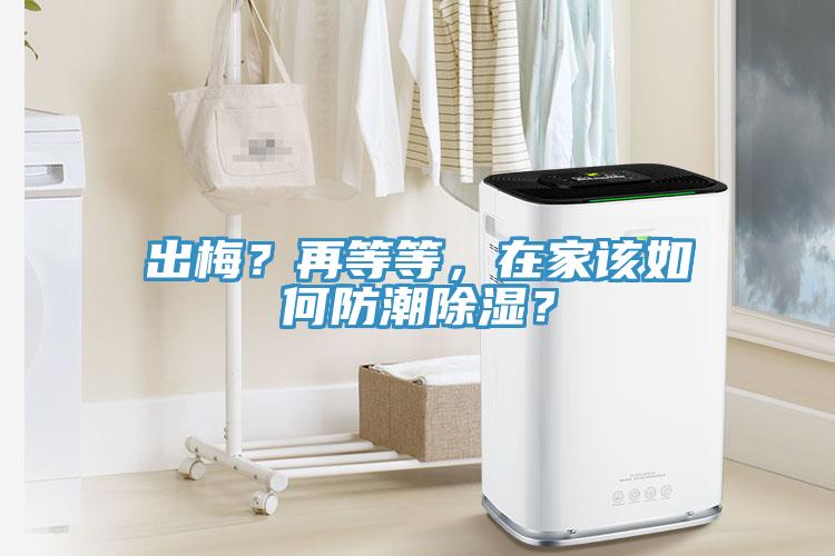 出梅？再等等，在家該如何防潮除濕？