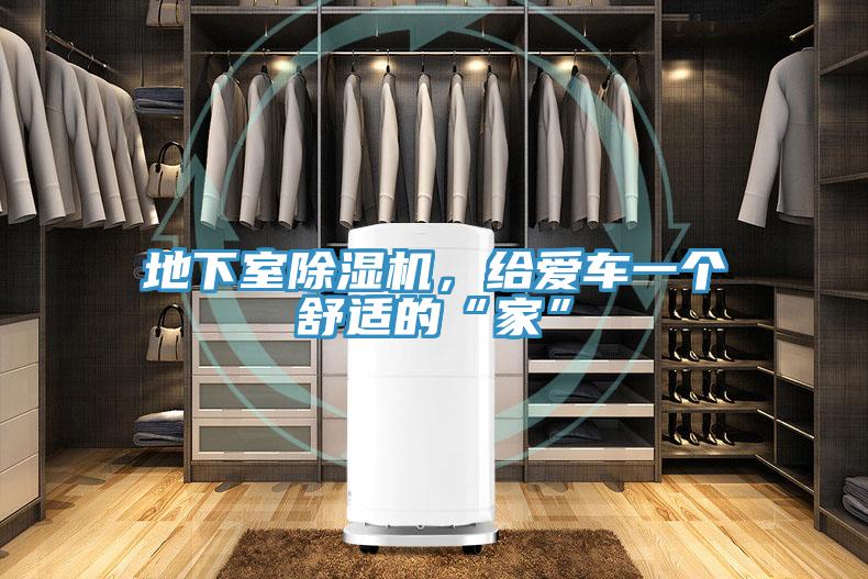地下室除濕機,給愛車一個舒適的“家”