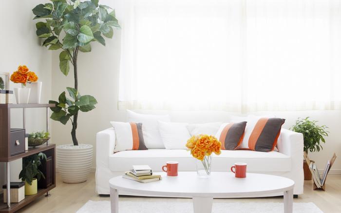 及早備好除濕機，不懼潮濕天來襲