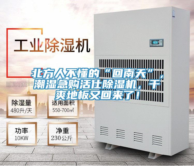 北方人不懂的“回南天”,潮濕急購活仕除濕機,干爽地板又回來了!