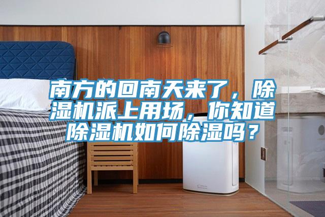 南方的回南天來了,除濕機(jī)派上用場(chǎng),你知道除濕機(jī)如何除濕嗎?