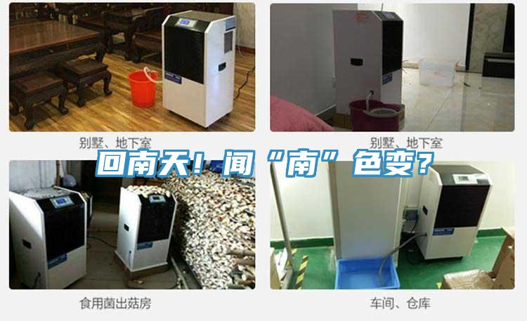 回南天！聞“南”色變？