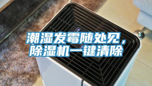 潮濕發(fā)霉隨處見，除濕機(jī)一鍵清除