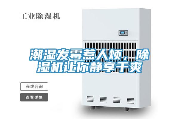 潮濕發(fā)霉惹人煩，除濕機(jī)讓你靜享干爽