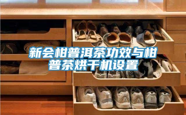 新會柑普洱茶功效與柑普茶烘干機設(shè)置