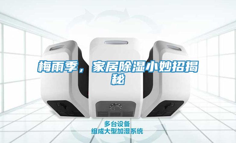 梅雨季，家居除濕小妙招揭秘