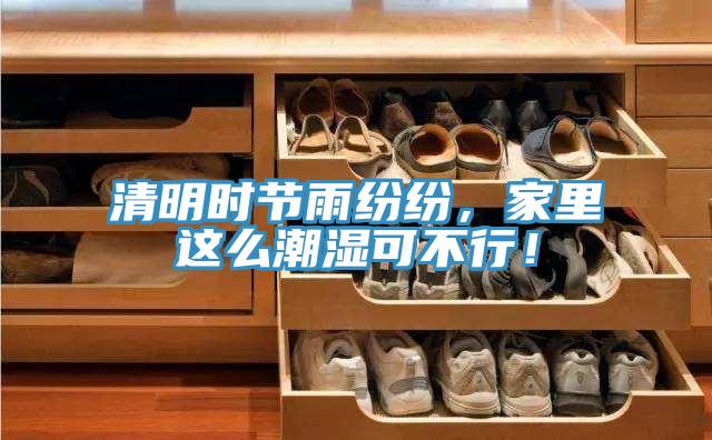 清明時節雨紛紛，家里這么潮濕可不行！