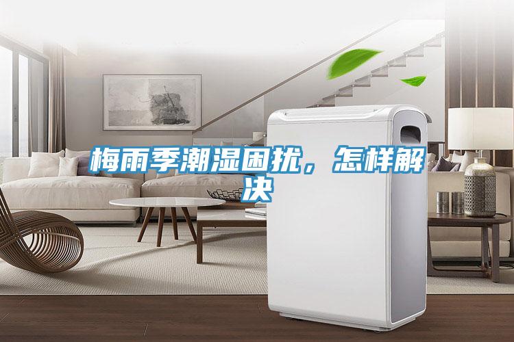 梅雨季潮濕困擾，怎樣解決