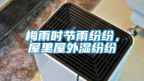 梅雨時節雨紛紛，屋里屋外濕紛紛