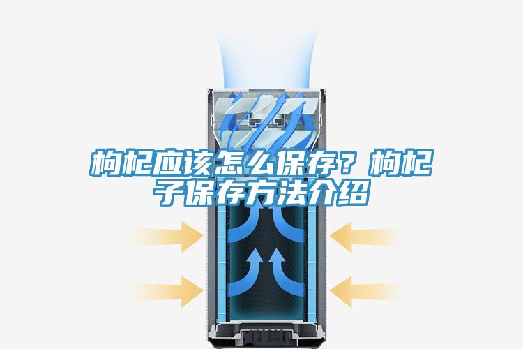 枸杞應(yīng)該怎么保存？枸杞子保存方法介紹