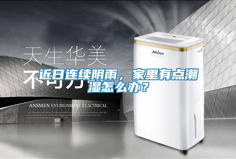 近日連續陰雨，家里有點潮濕怎么辦？