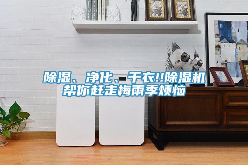 除濕、凈化、干衣!!除濕機幫你趕走梅雨季煩惱