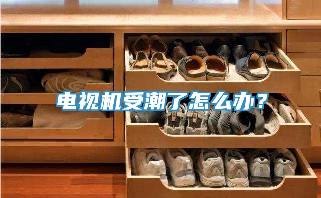 電視機(jī)受潮了怎么辦？