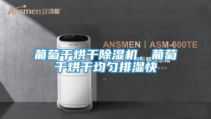 葡萄干烘干除濕機(jī)，葡萄干烘干均勻排濕快