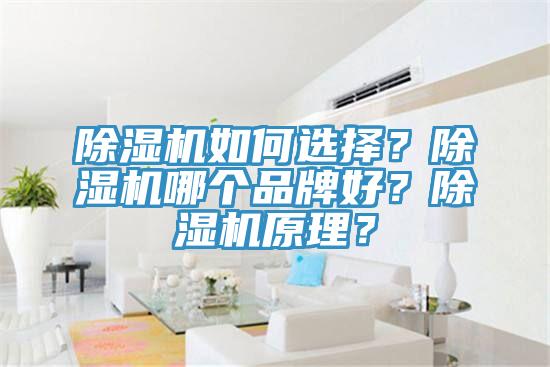 除濕機如何選擇？除濕機哪個品牌好？除濕機原理？