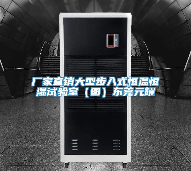 廠家直銷大型步入式恒溫恒濕試驗室(圖)東莞元耀