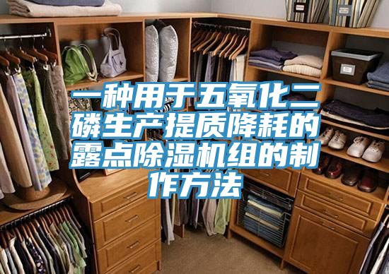 一種用于五氧化二磷生產(chǎn)提質降耗的露點除濕機組的制作方法