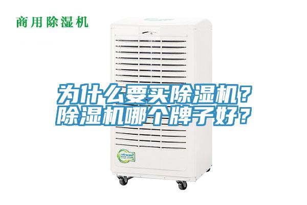 為什么要買除濕機？除濕機哪個牌子好？