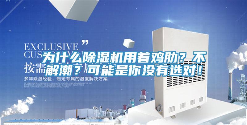 為什么除濕機用著雞肋？不解潮？可能是你沒有選對！