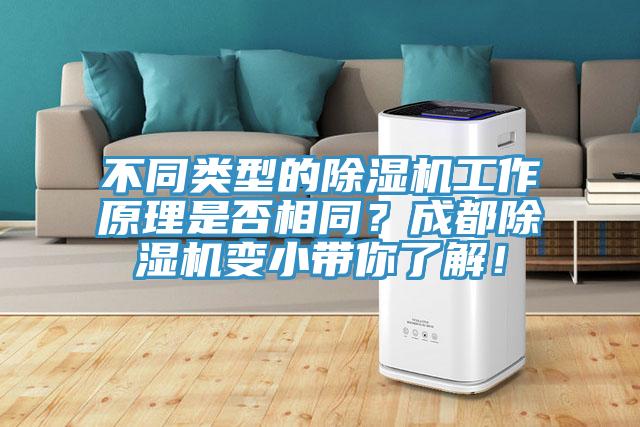 不同類型的除濕機工作原理是否相同？成都除濕機變小帶你了解！
