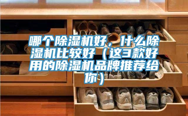 哪個除濕機好，什么除濕機比較好（這3款好用的除濕機品牌推薦給你）