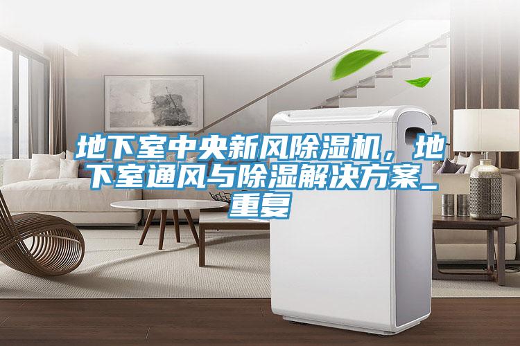 地下室中央新風(fēng)除濕機(jī)，地下室通風(fēng)與除濕解決方案_重復(fù)
