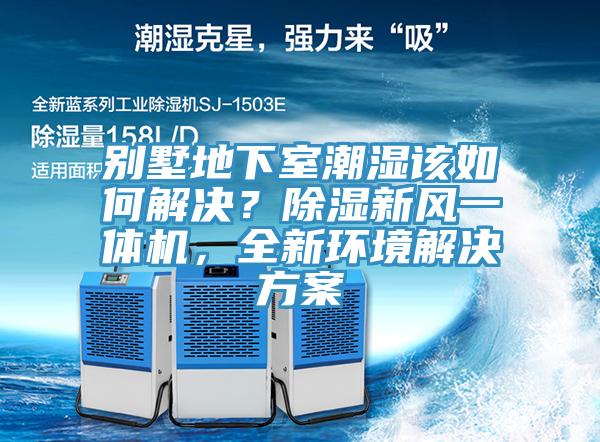 別墅地下室潮濕該如何解決？除濕新風一體機，全新環境解決方案