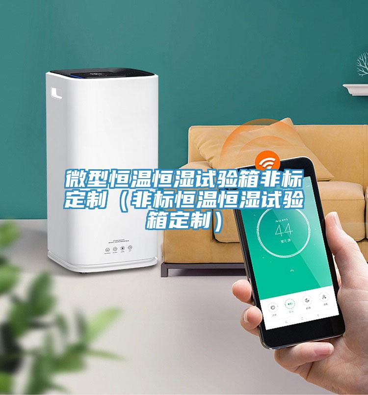 微型恒溫恒濕試驗箱非標定制(非標恒溫恒濕試驗箱定制)