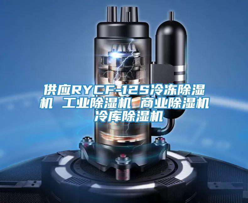 供應(yīng)RYCF-12S冷凍除濕機(jī) 工業(yè)除濕機(jī) 商業(yè)除濕機(jī) 冷庫除濕機(jī)