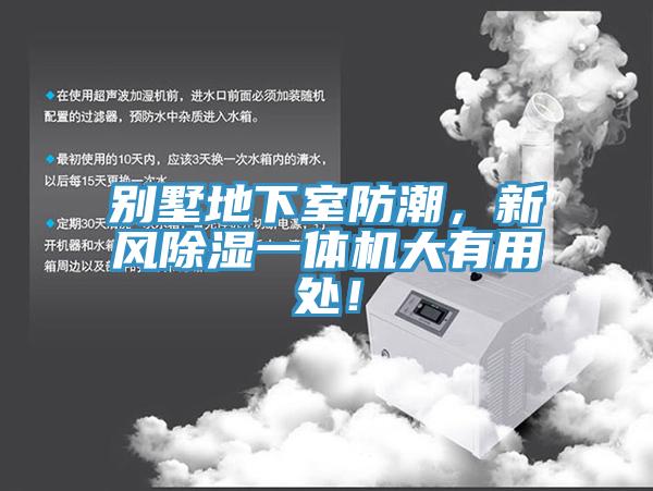 別墅地下室防潮，新風除濕一體機大有用處！