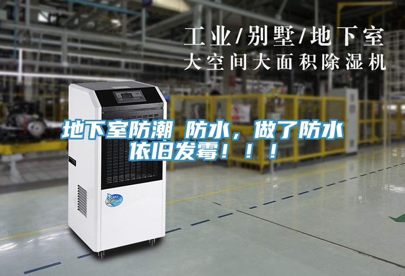 地下室防潮≠防水，做了防水依舊發(fā)霉！！！