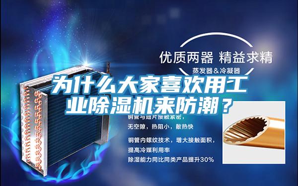 為什么大家喜歡用工業除濕機來防潮？