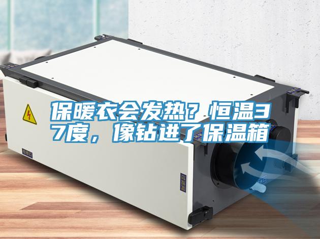 保暖衣會發熱？恒溫37度，像鉆進了保溫箱