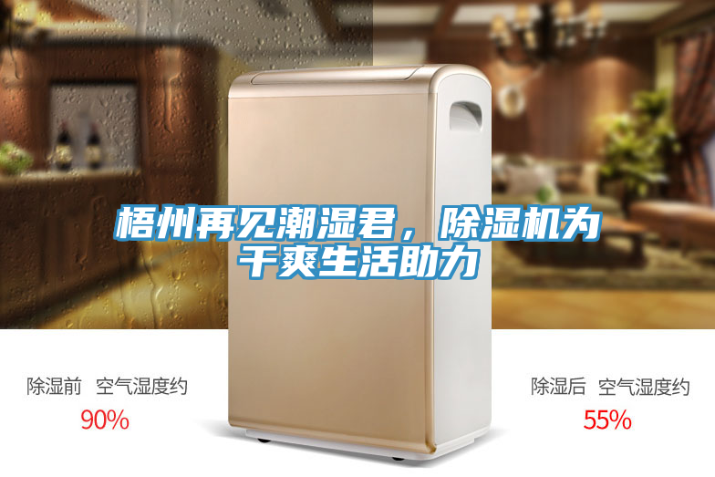 梧州再見潮濕君，除濕機為干爽生活助力
