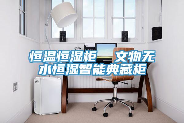 恒溫恒濕柜  文物無(wú)水恒濕智能典藏柜