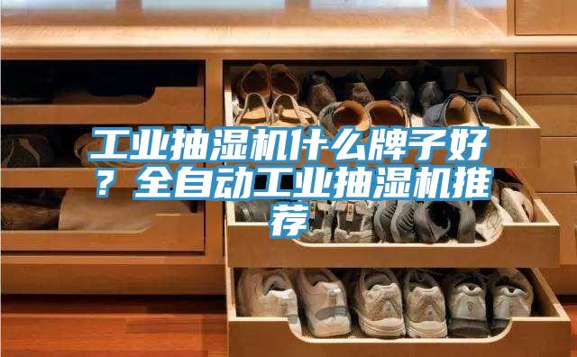 工業抽濕機什么牌子好？全自動工業抽濕機推薦