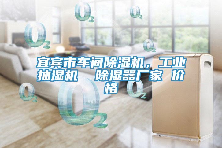宜賓市車間除濕機，工業(yè)抽濕機  除濕器廠家 價格