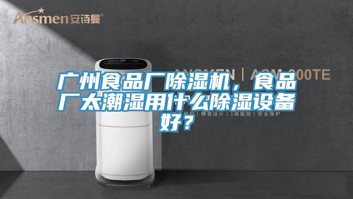 廣州食品廠除濕機(jī)，食品廠太潮濕用什么除濕設(shè)備好？