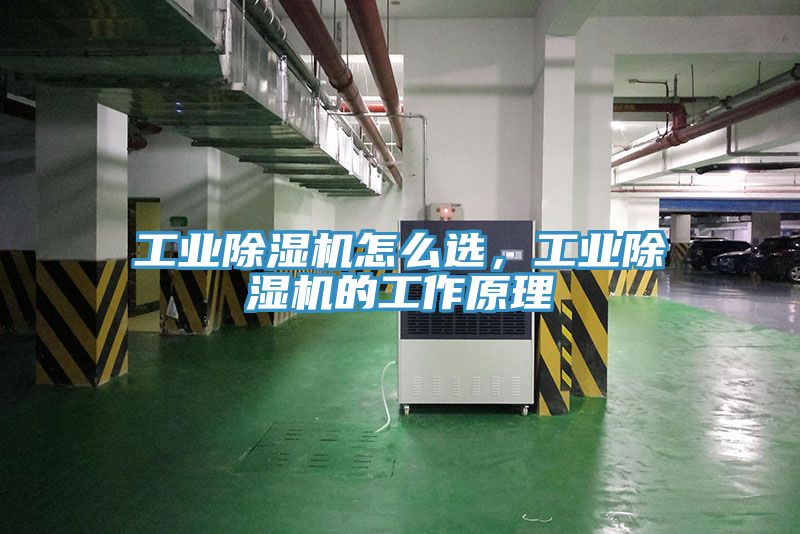 工業(yè)除濕機怎么選，工業(yè)除濕機的工作原理