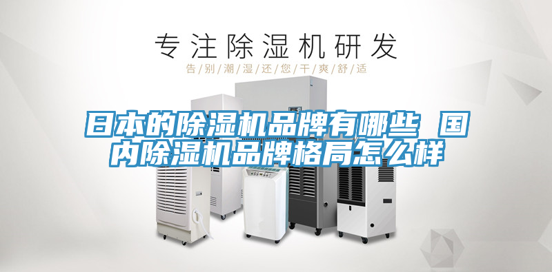 日本的除濕機(jī)品牌有哪些 國內(nèi)除濕機(jī)品牌格局怎么樣