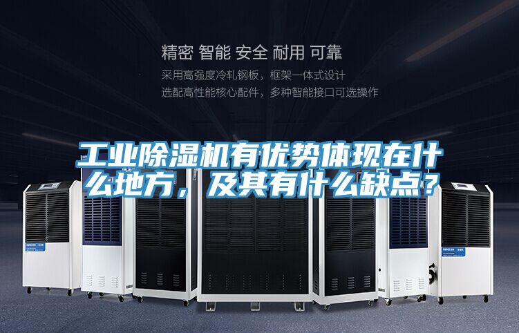 工業(yè)除濕機(jī)有優(yōu)勢體現(xiàn)在什么地方，及其有什么缺點(diǎn)？