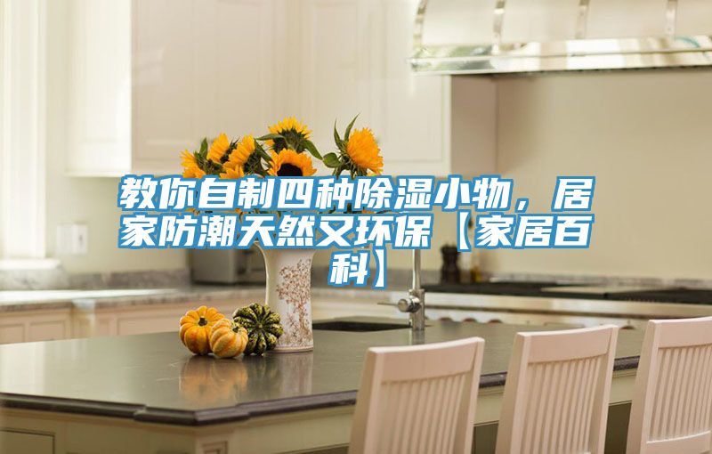教你自制四種除濕小物，居家防潮天然又環(huán)?！炯揖影倏啤?></div>
								<div   id=